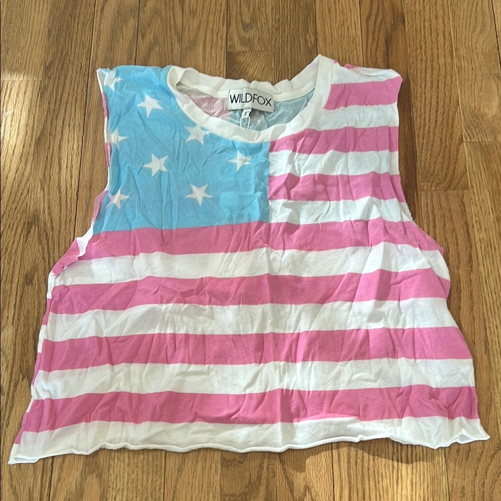 Wildfox Women's Pink and Blue Striped Top